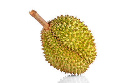 JED Native Durian