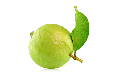 JED Native Guava