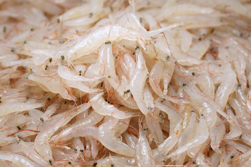 AJ Alamang per 500g