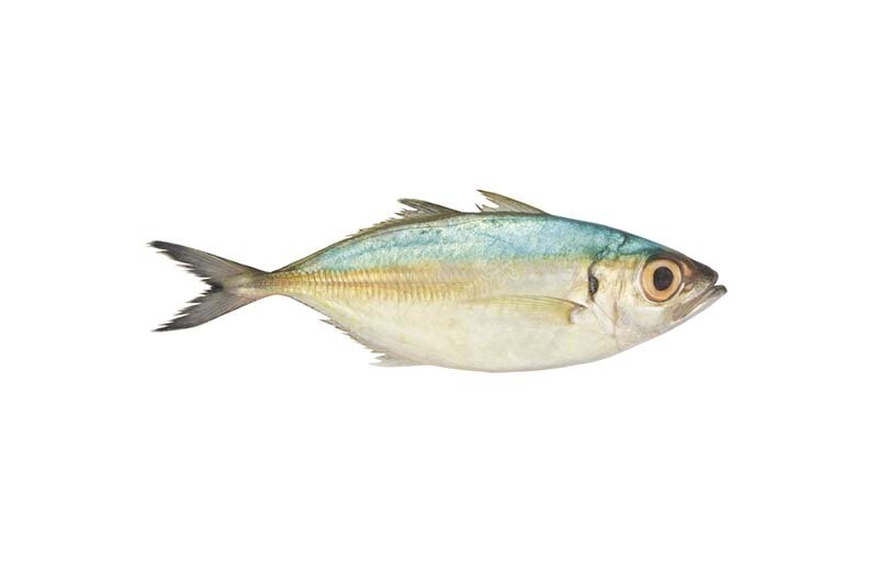 Galunggong per 500g