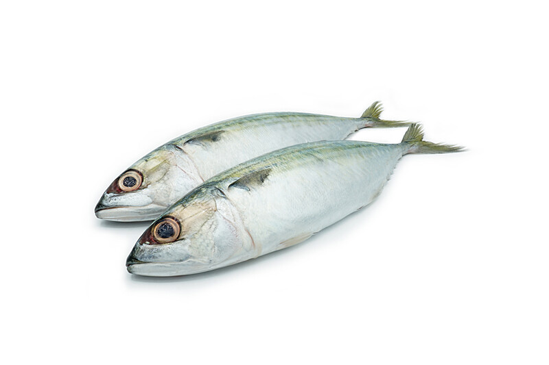 Hasa Hasa per 500g