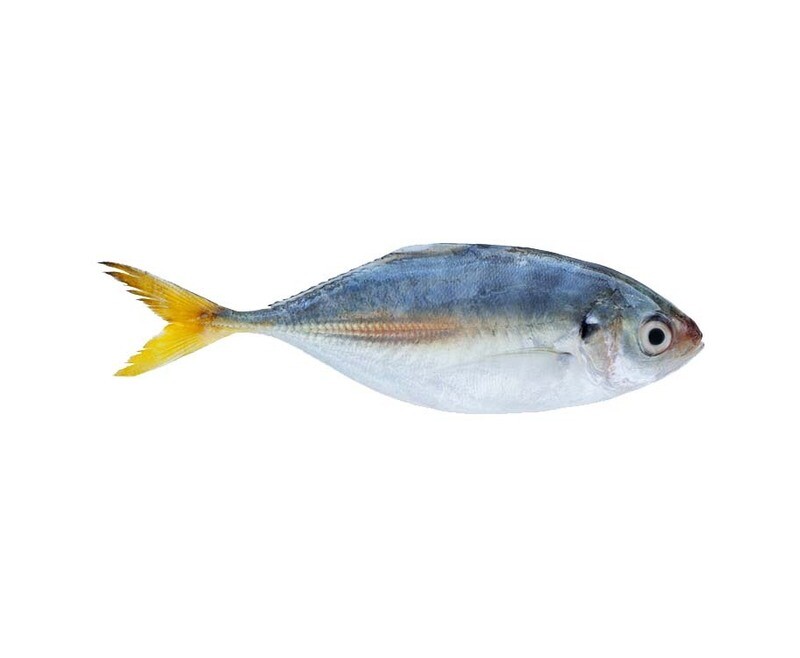 Talakitok per 500g