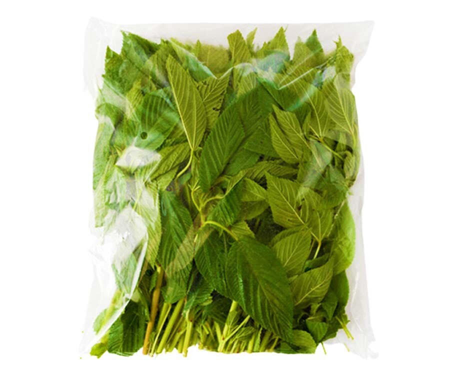 Global Fresh Saluyot