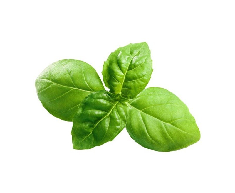 Global Fresh Basil Leaves