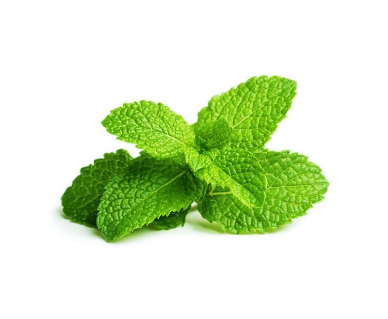 Global Fresh Mint Leaves