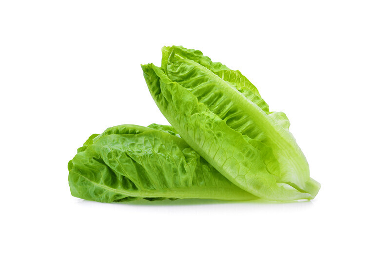 Global Romaine Lettuce