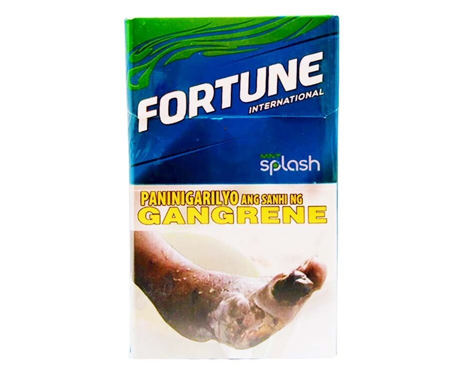 Fortune Mint Splash