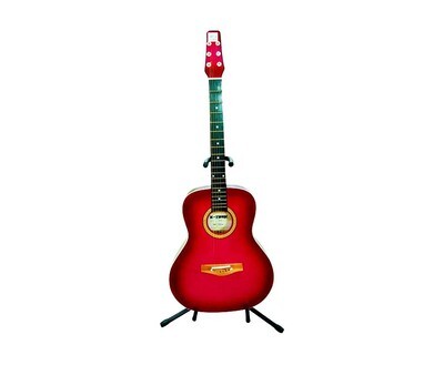 X-Trek Acoustic Guitar Pink