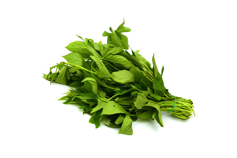 Global Fresh Kamote Tops
