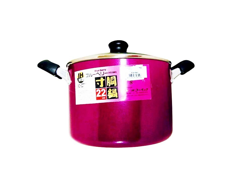 IKKA Welup Blue Berry Aluminum Pot with Glass Lid 22cm