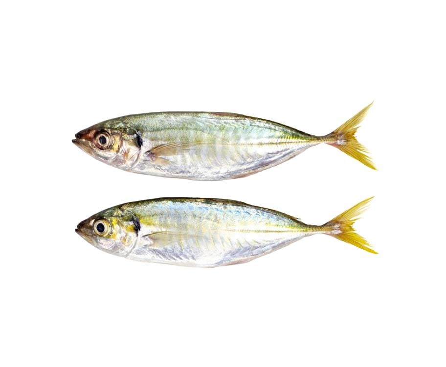 AJ Salay Salay per 500g