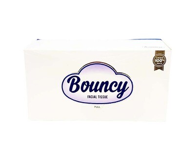 All Year Bouncy Facial Tissue Ultra Gentle & Unscented 2-Ply 190 Pulls