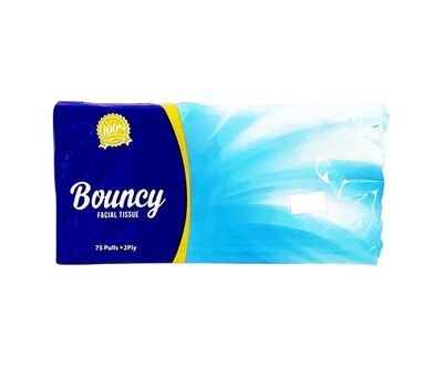 All Year Bouncy Facial Tissue 75 Pulls 2-Ply