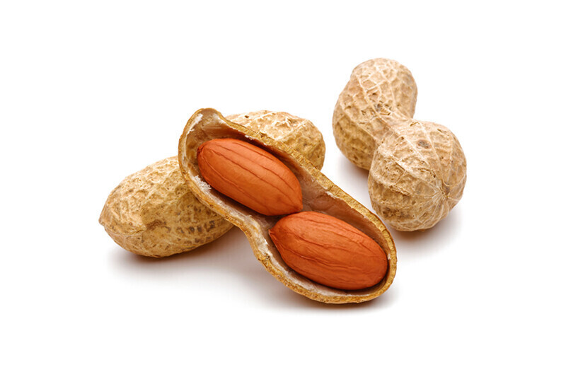 Global Fresh Peanut Jumbo per kg