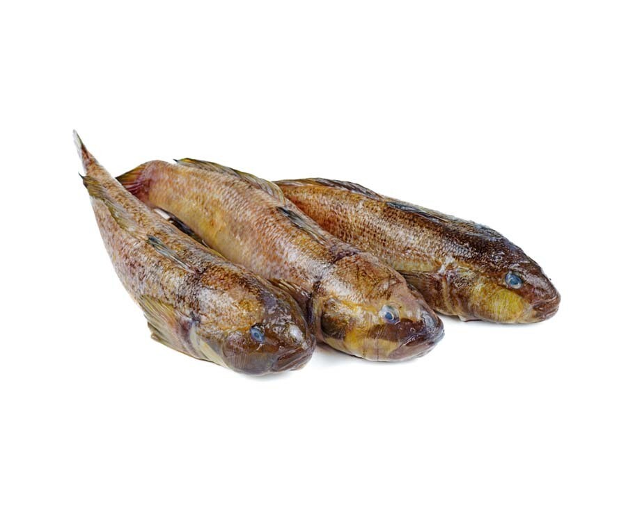 AJ Biya per 500g
