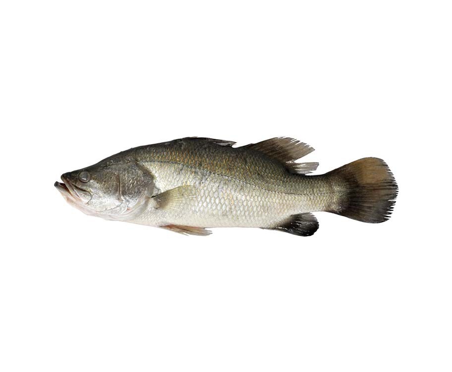 AJ Ayungin per 500g