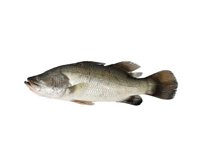 AJ Ayungin per 500g