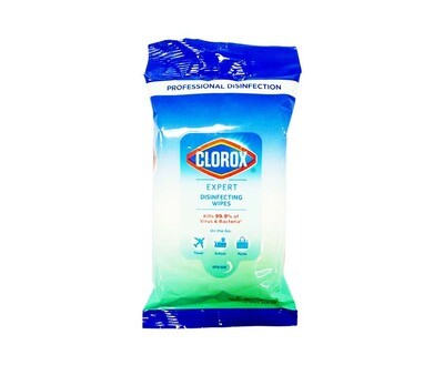 Clorox Expert Disinfecting Wipes Fresh Scent 15 Wet Wipes