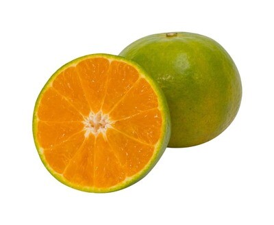JED Native Orange Seedless (Dalandan)
