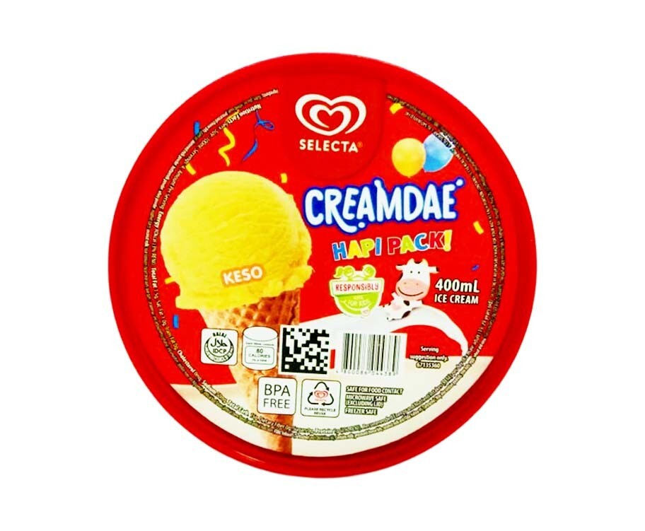 Selecta Creamdae Keso Flavored Ice Cream 400mL