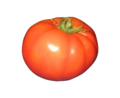 Dizon Whopper Tomato