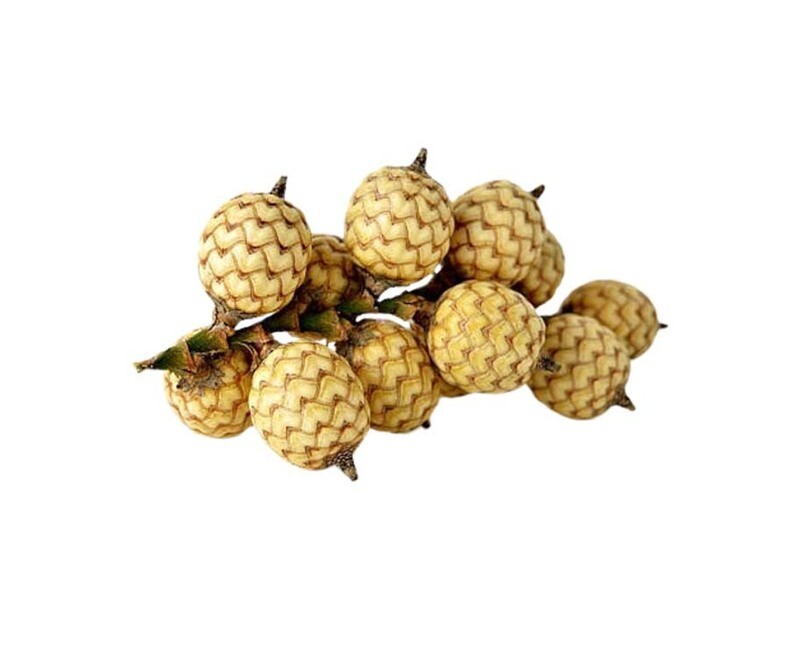 Dizon Rattan Fruit