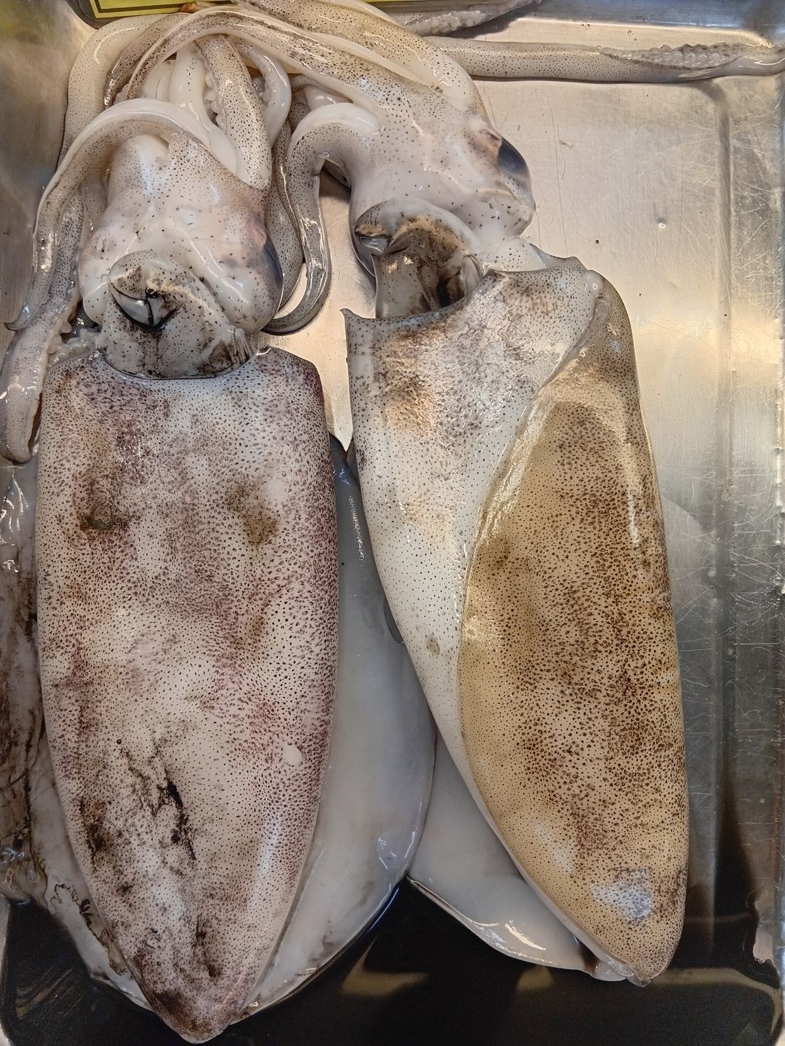 AJ Pusit Lumot 1kg