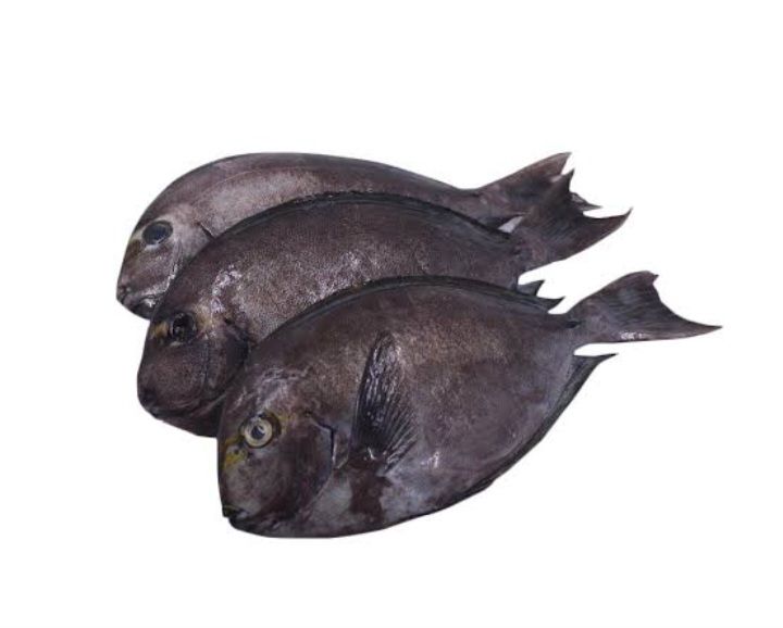 AJ Labahita 1kg
