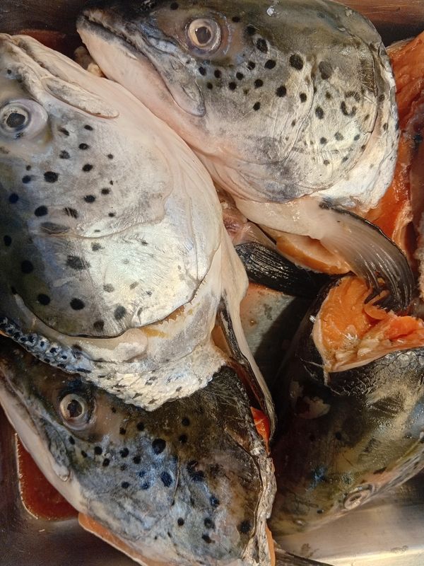 AJ Salmon Head 1kg