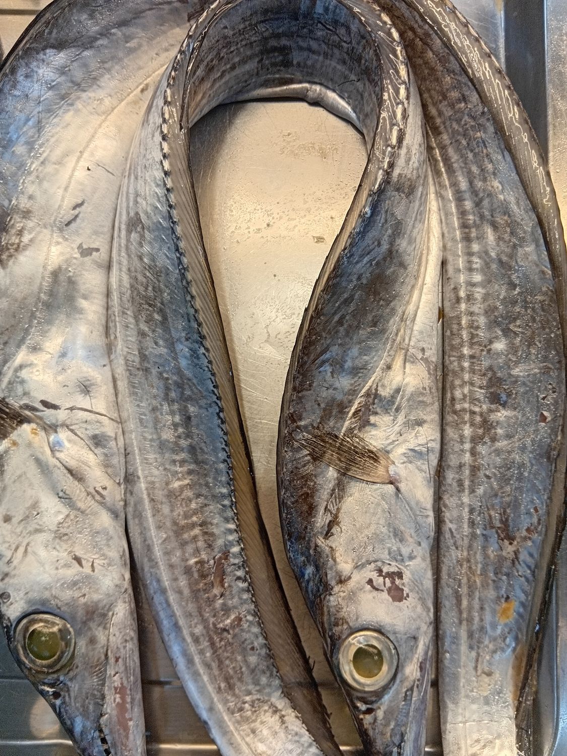 AJ Espada 500g