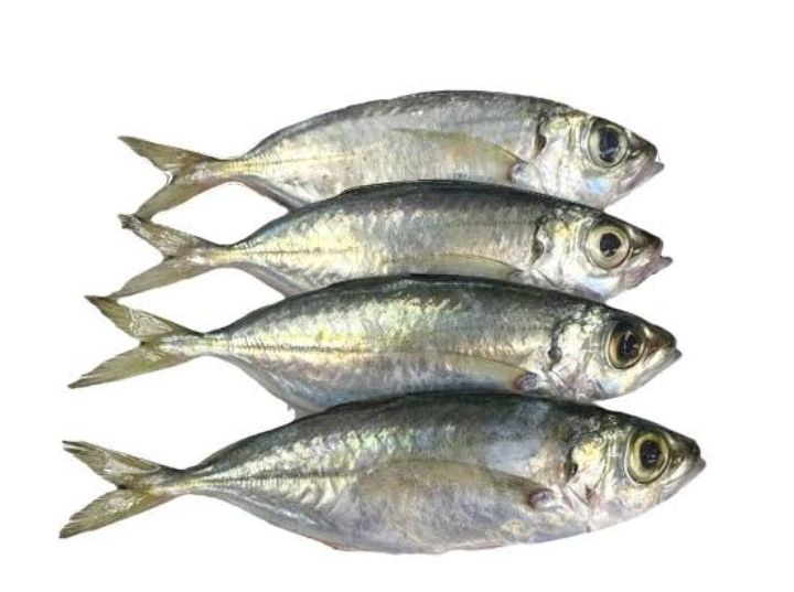 AJ Matang Baka 500g
