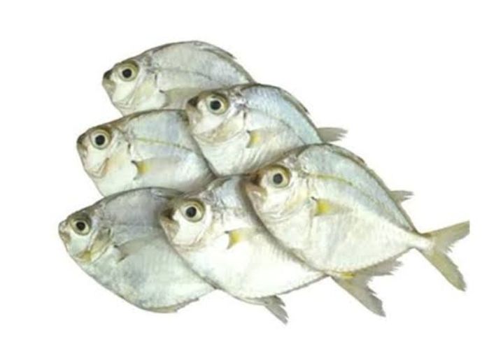 AJ SapSap 1kg