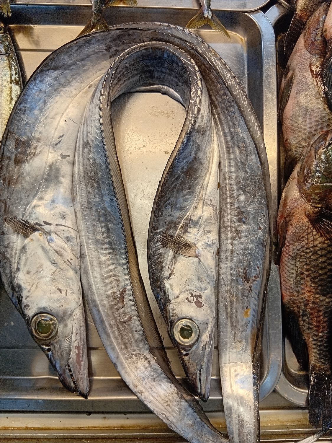 AJ Espada 1kg