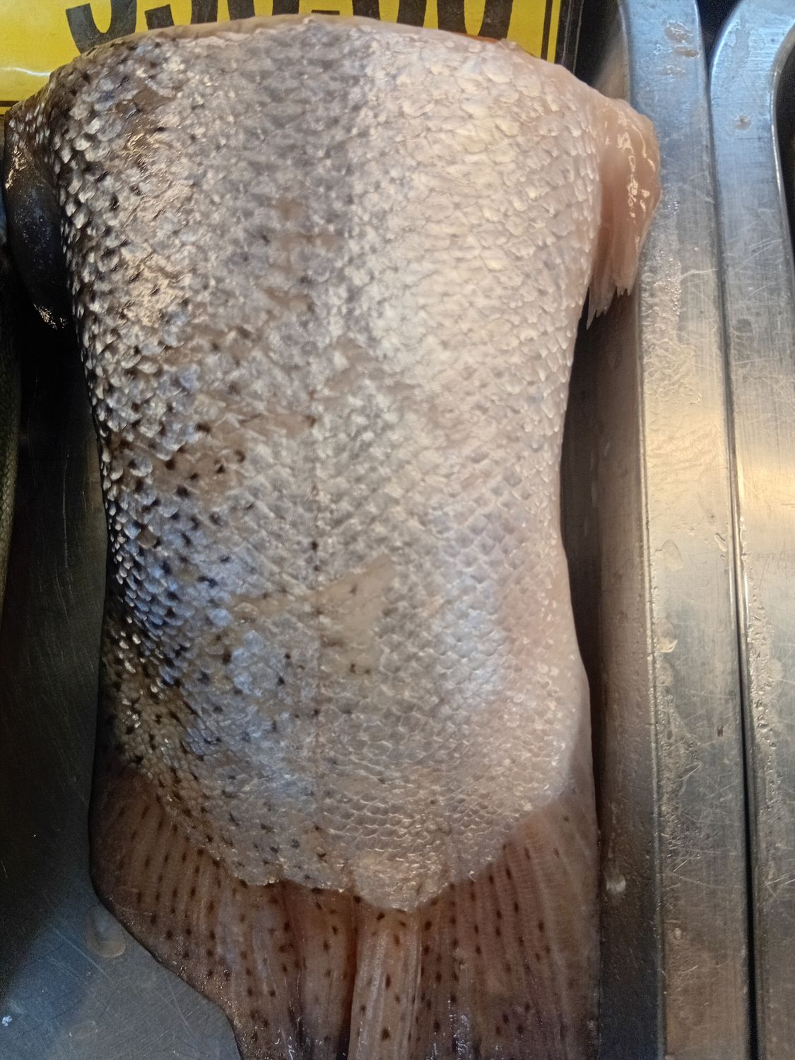 AJ Salmon HS Cut 500g