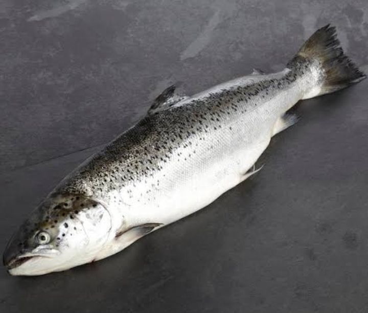 AJ Salmon Whole 1kg