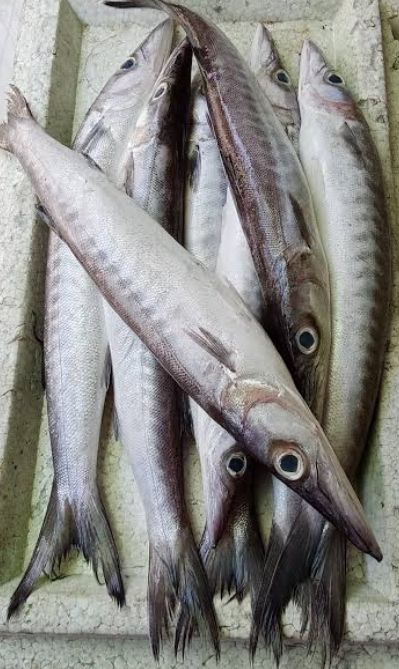 AJ Torcillo 1kg