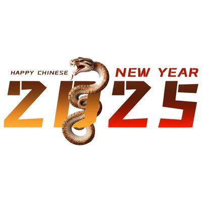 Lunar New Year