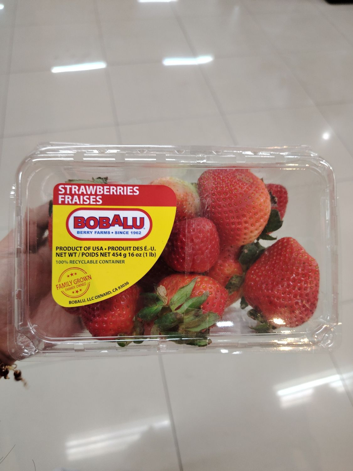 Bobalu Strawberry Fraises