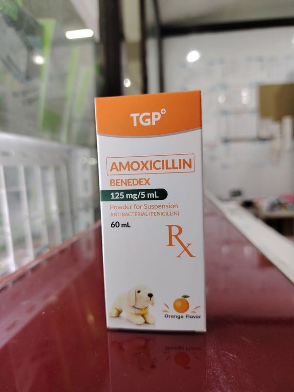 Amoxicillin BENEDEX 125mg/5ml Orange Flavor 60ml