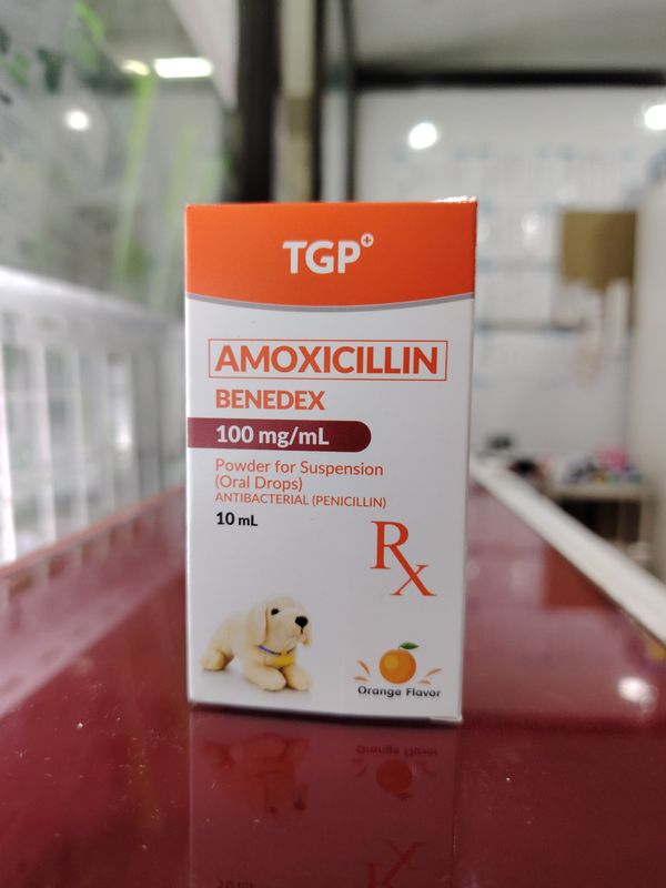 Amoxicillin BENEDEX Oral Drops Orange Flavor 100mg/ml 10ml