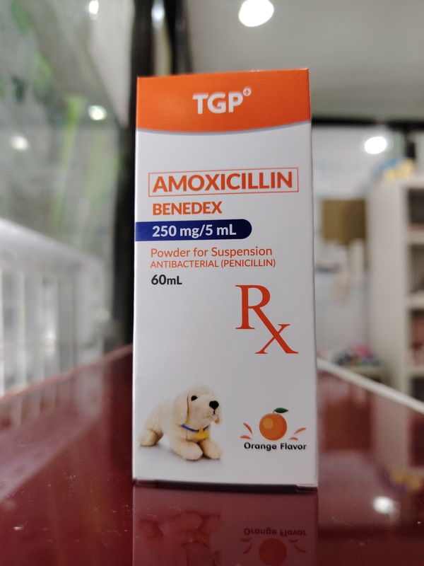 Amoxicillin BENEDEX Orange Flavor 250mg/5ml 60ml