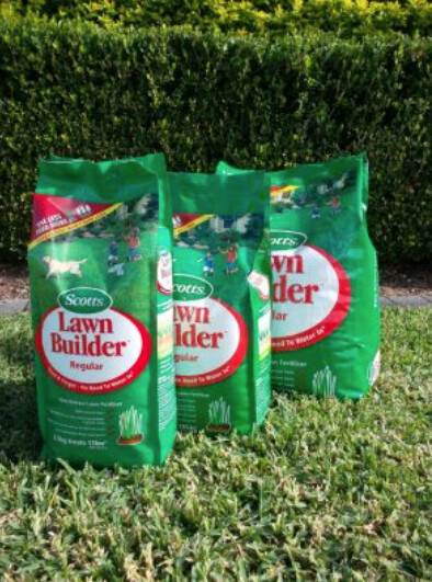 Scotts Lawn Builder 2.5kg