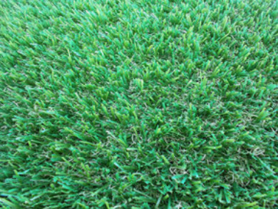 Everyday Synthetic Turf 1.8m Wide Per Linear Metre