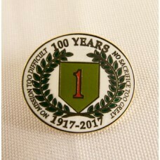 Lapel Pins 100 Year