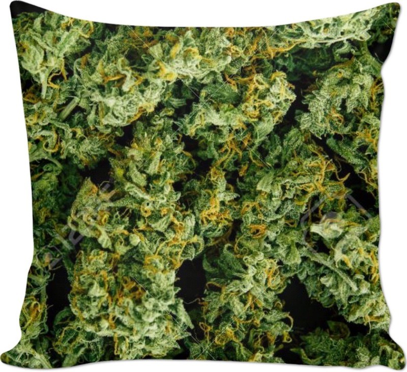 Sour Pillow by KED
