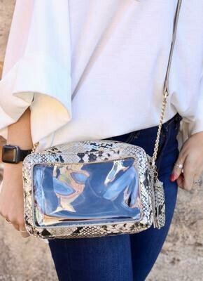 caroline hill clear purse
