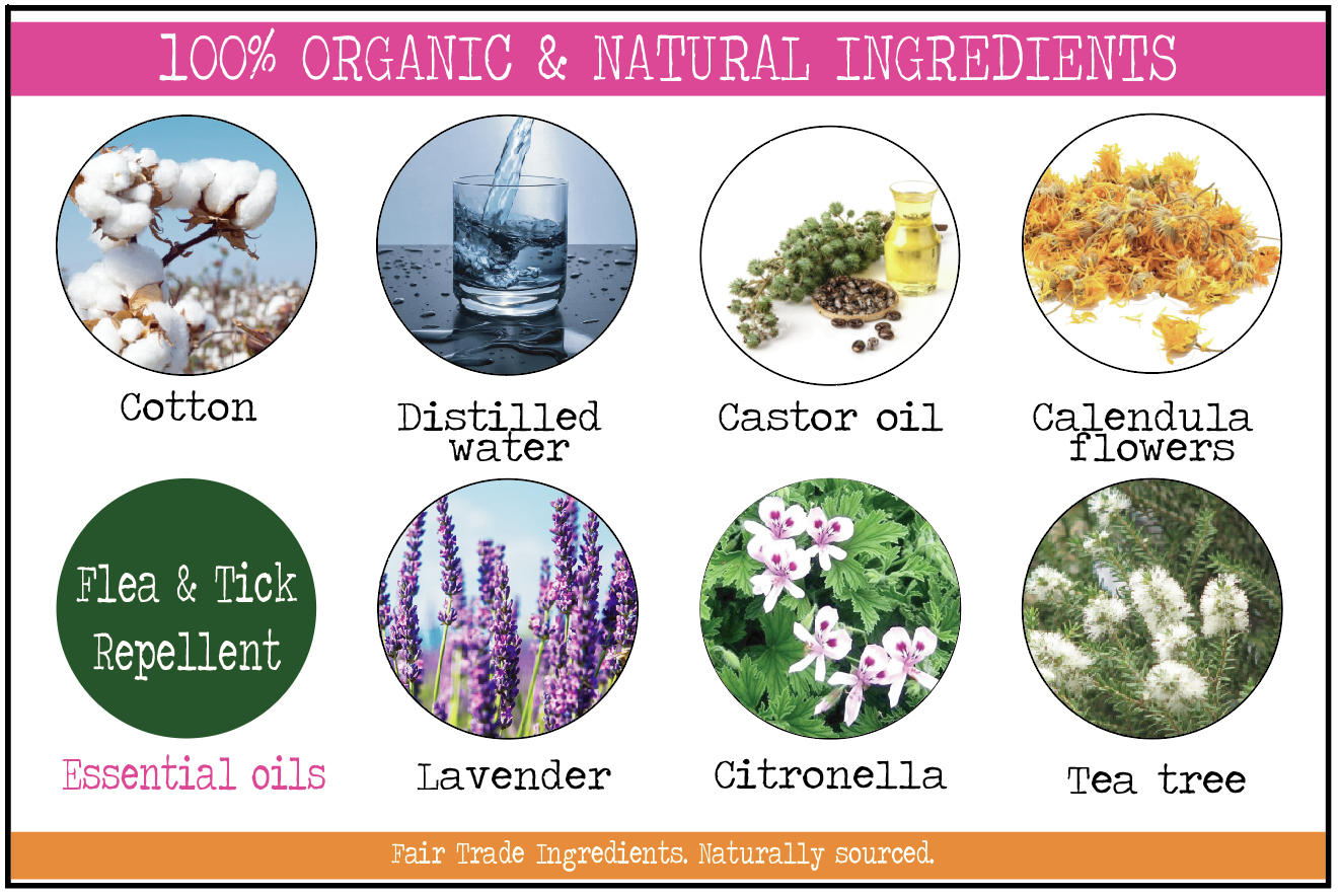 lavender flea repellent