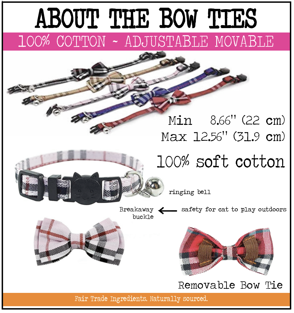 burberry dog collar with bow