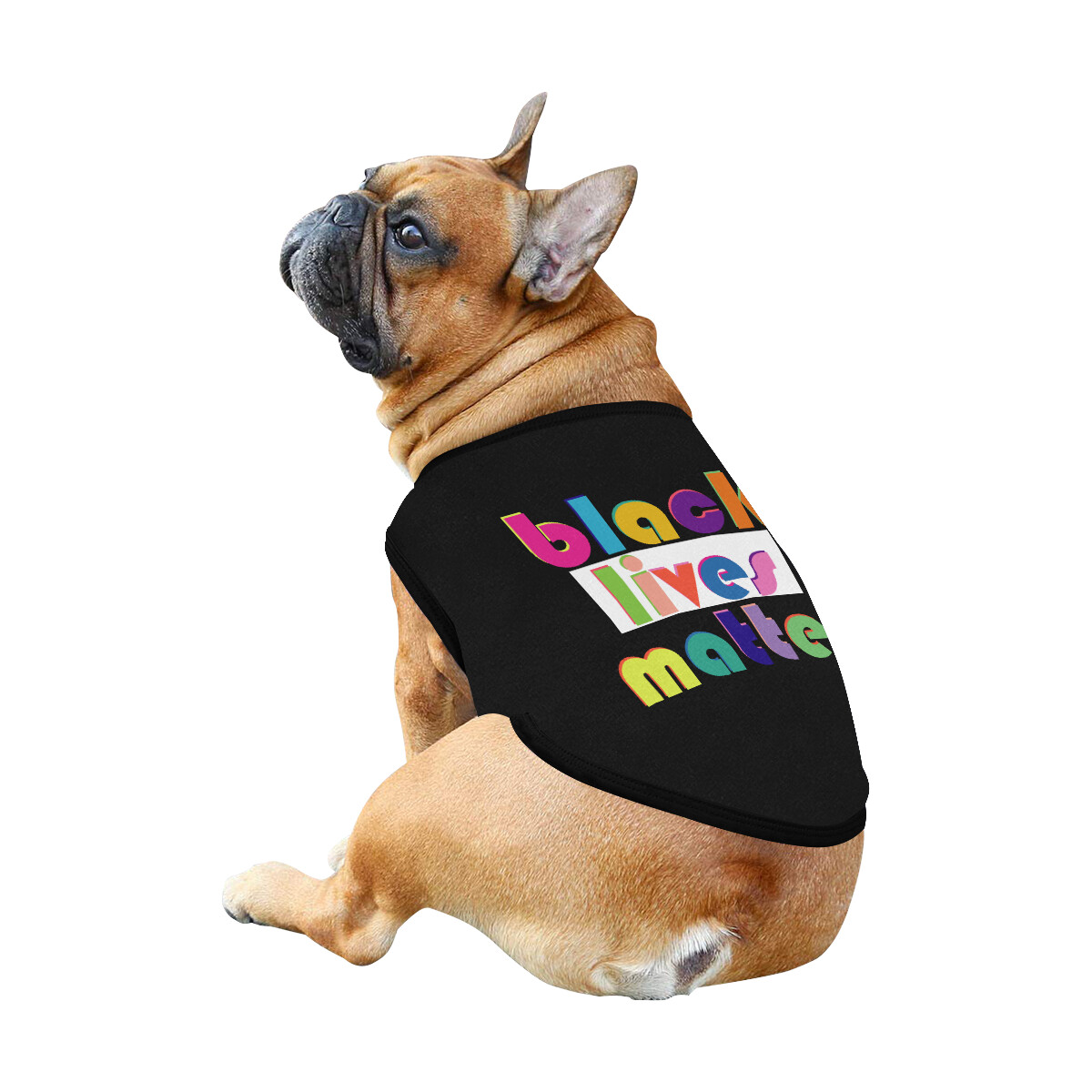 🐕 Black lives Matter Dog Tank Top, Dog shirt, Dog clothes, Gifts, front back print, 7 sizes XS to 3XL black