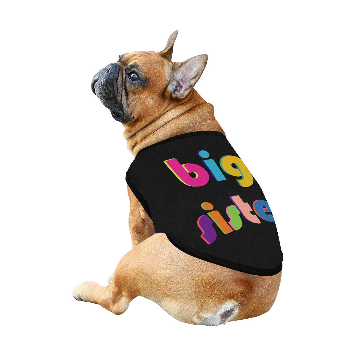 🐕 Big Sister Dog Tank Top, Dog shirt, Dog clothes, Gifts, front back print, 7 sizes XS to 3XL, dog t-shirt, dog t-shirt, dog gift, black